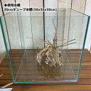 枝流木L【ベトナム産】【形状おまかせ】【レイアウト素材】【約25.0〜35.0cm】【ナチュラル】【根っこ】【ブランチウッド】【カミハタ】