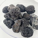 ほとりえラヴァストーン【テラリウム】【パルダリウム】【溶岩石】【水作】