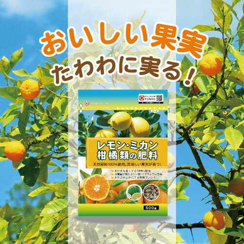 果樹 東商 レモン・ミカン・柑橘類の肥料 500g 果実 柑橘 肥料 専用