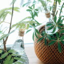 水やり プランターに挿す水やり器 ハリオ HARIO ガラス 自動給水 観葉植物 可愛い