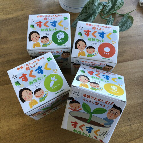 すくすく栽培セットBOX【入学】【卒業】【お祝い】【栽培キット】【子供向け】【食育】【プレゼント】【お祝い】のサムネイル