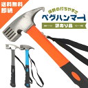 【楽天8冠1位受賞 累計販売10,800本】