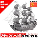 メタルパズル ブラックパール号 メタリックナノパズル ナノパズル立体パズル 3Dパズル 暇つぶし 模型 パズル 組み立て 組立 工作 3Dパズル 脳トレ キット 大人 送料無料 ラッピング