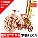  ウッドパズル Wood Trick ウッドトリック バイシクル 自転車 乗り物 バイク 3Dウッドパズル パズル 木製パズル 知育 プレゼント 木製 歯車 脳トレ キット 大人 送料無料 ラッピング