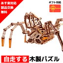 【ウクライナを応援!】 ウッドパズル スペーススパイダー 3Dウッドパズル パズル 木製パズル 知育 プレゼント 木製 歯車 脳トレ キット 大人 蜘蛛 クモ ...