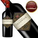 エラスリス ヴィニエド チャドウィック ダブルマグナム 2001年 正規品 辛口 赤ワイン 3,000ml 【ヴィーニャ・エラスリス】◆包装不可◆エラスリス・ヴ...