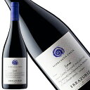 エラスリス シラー アコンカグア コスタ 2014年 正規品 辛口 赤ワイン 750ml 【ヴィーニャ・エラスリス】◆ギフト対応可◆エラスリス・シラー・アコンカ...