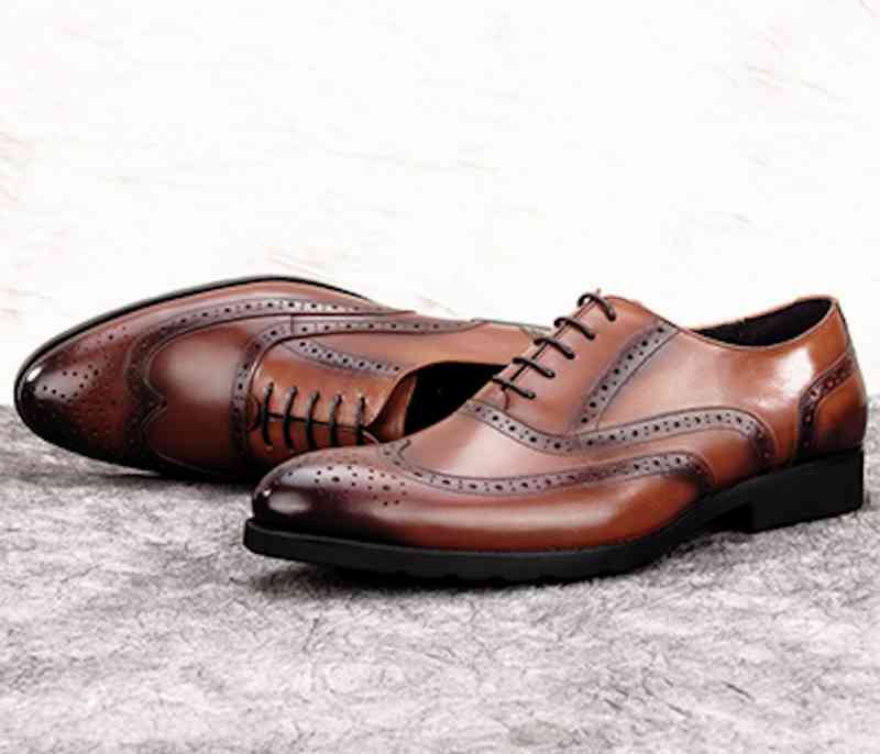 ڡݥѤ20%OFF! ӥͥ塼  ¤   OFF ͵ 硼ȥ֡ ɿ ܳ  ...