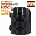 防犯カメラ SDカード 録画 電源不要 屋外 ソーラー トレイルカメラ 録音 屋内 動体検知 防犯 監視カメラ 電池式 8K 静止画なら1600万画素 さらに夜...