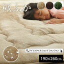 ラグ ラグカーペット 190×260cm ラグマット 極厚 厚手 撥水 滑り止め フランネル 保温 アルミシート ふかふか 防音 ホットカーペット対応 床暖房対応 洗える 手洗い お手入れ簡単 こたつ敷き布団 こたつ敷布団 ベージュ ブラウン グリーン 長方形