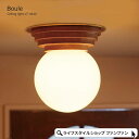 【クーポン配布中】シーリングライト スポットライト おしゃれ 北欧 天井照明 1灯 ブール Boule 白熱球 LT-4440 リビング ダイニング 玄関 トイ...