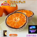 あすもの真珠大福 6個入化粧箱 みかん&チョコ大福 パール 大福 お祝い お礼 贈り物 スイーツ お歳暮 ギフト プレゼントスイーツ メーカー直送 冷凍配送 正...