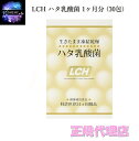 LCH ハタ乳酸菌 1ヶ月分 (30包) 乳酸菌サプリメント 送料無料 エンチーム　メーカー直送 ☆　正規代理店