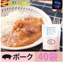 五島の鯛で出汁をとったなんにでもあうカレー ポーク 40袋セット ギフト お取り寄せ グルメ 贈り物 お祝い 送料無料 産地直送 正規代理店(4)
