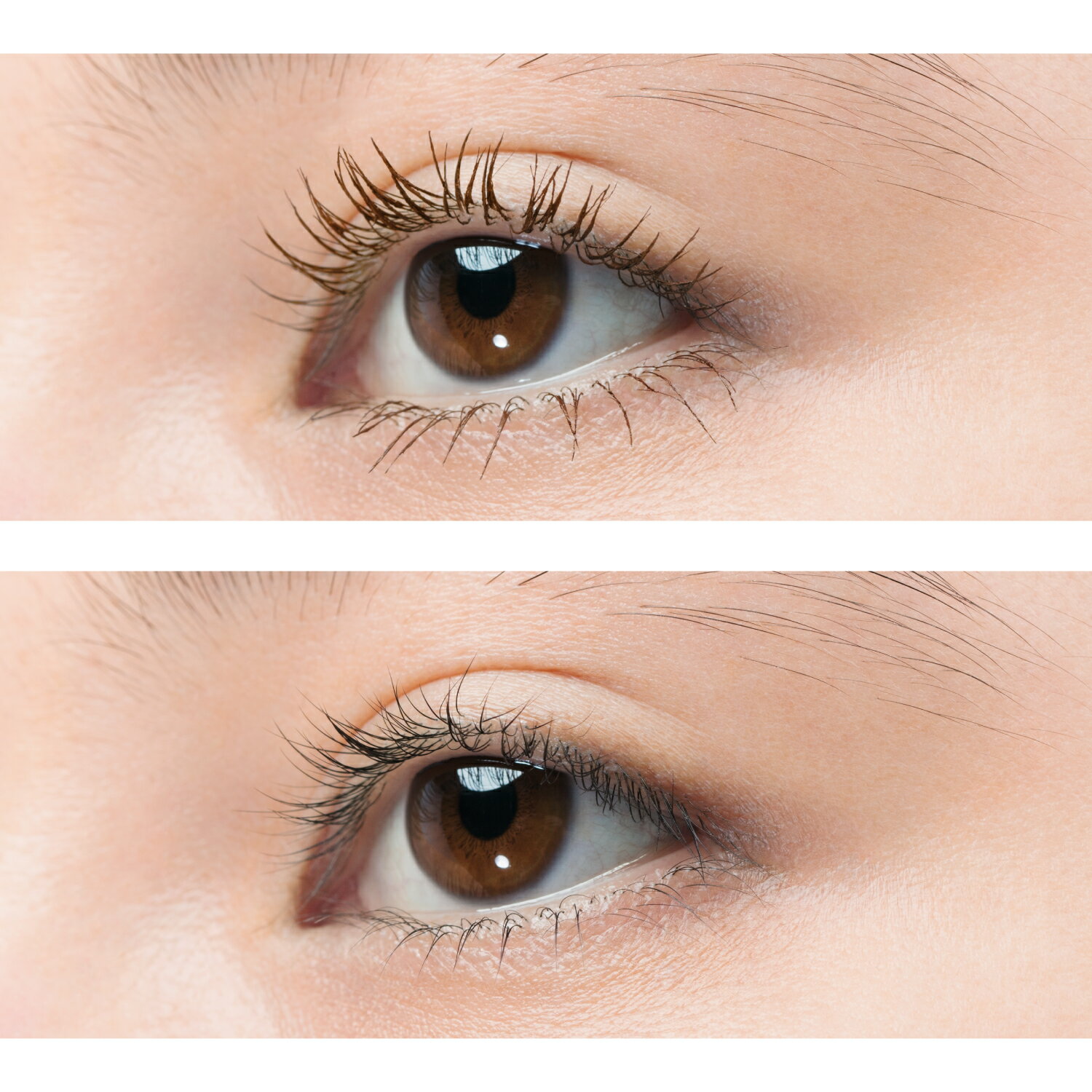 【UZU BY FLOWFUSHI公式】 MOTE MASCARA BROWN ブラウン [送料無料] カラーマスカラ　まつげケア お湯オフ 低刺激性