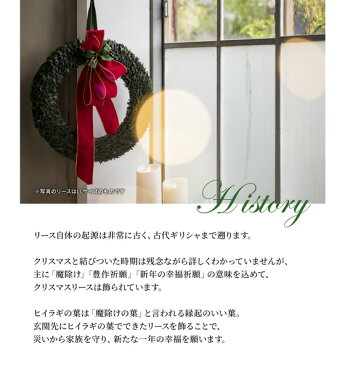 クリスマスリース プリザーブドフラワー 玄関 飾り リース 送料無料 ホーリーリース・Lサイズ(直径約33cm)クリスマスプレゼント 贈り物 自宅用 お歳暮 ギフト ブリザードフラワー 店舗 ディスプレイ 店頭 壁飾り