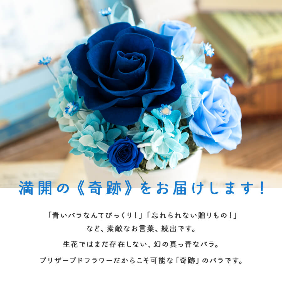 【楽天スーパーSALE割引10%OFF】プリザーブドフラワー 送料無料 Bloom ケース 結婚祝い 誕生日 プレゼント 女性 女友達 母 父 ギフト 青いバラ ブルーローズ サムシングブルー 結婚記念日 花 ブリザードフラワー 花 お祝い 結婚式 電報 即日発送 メッセージカード