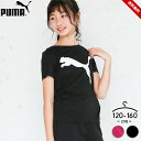 プーマ 半袖Tシャツ 女の子 ドライ PUMA 子供服 120cm 130cm 140cm 150cm 160cm 吸汗速乾 ガールズ スポーツウェア インナー 運動着 ルームウェア ランニング トレーニング 体育 部屋着 おしゃれ 子供服 女児 ガールズ 黒 ブラック ピンク 小学生 送料無料