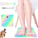 【クーポンで3,780円】美脚トレーニング EMSシート USB充電式 リモコン付き EMS 乗るだけ簡単 フットマット マッサージ 電気刺激 6モード 9段階...