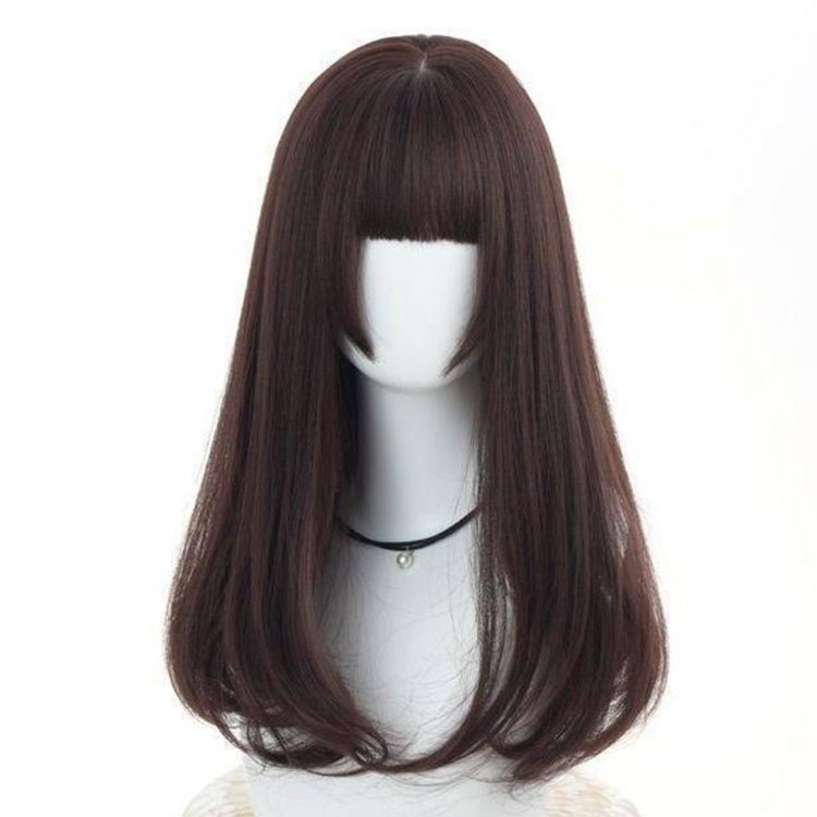 ウィッグ フルウィッグ ロング セミロング ウイッグ ストレート 小顔 レディース ...