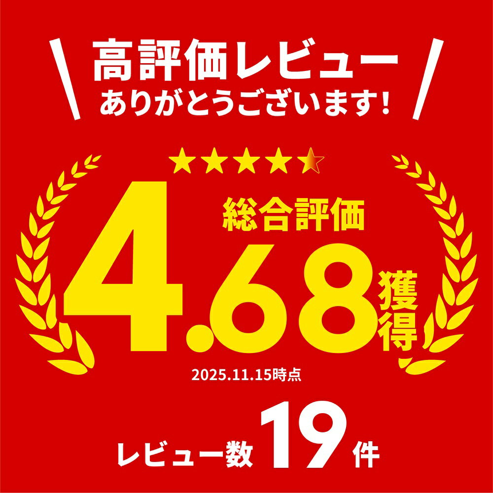 【楽天ランキング1位】サンタ コスプレ レディース 4点セット Xmas クリスマス 冬 仮装 イベント 衣装 サンタ帽子 サンタクロース 赤 サンタコス ブラックサンタ エロ 可愛い コスチューム パーティ 2