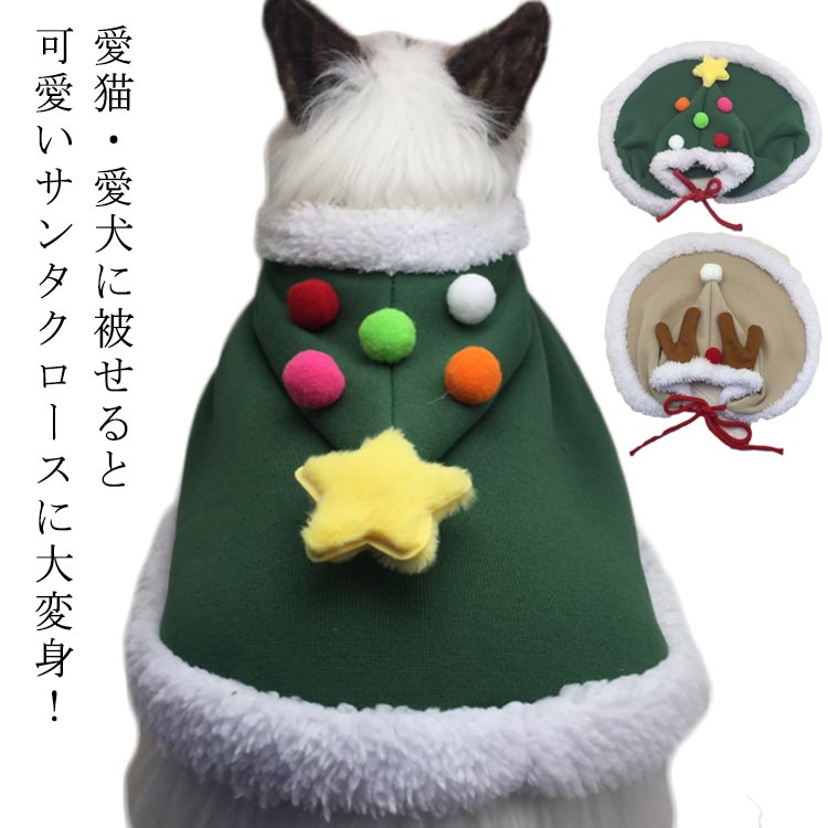 ѥԥ  ȥסɥ   ꡼ꥹޥ  ȥʥ 衼  MaryChristmas İ ...