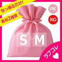 RACE レイス ギフトバッグ (S/Mサイズ) ラッピング 袋 ラッピング用品 ギフトラッピング りぼん リボン 包装【メイク キッズコスメ メイクセット こ...