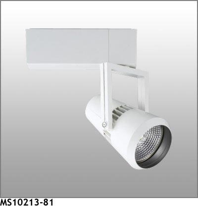 マックスレイスポットライトMS10...