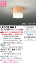 ŃCebN LED`V[OCg LEDG85023