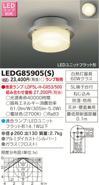 ŃCebN LEDV[O LEDG85905S