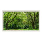 木々 森林 雑木林 ウォールステッカー 日本製 壁紙 グリーン 植物 緑 旅行 写真 ポスター シール アート