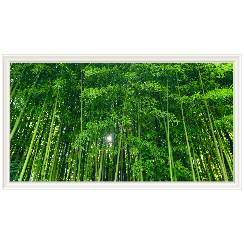 竹林 ウォールステッカー 日本製 壁紙 森林 バンブー 木 グリーン 植物 緑 旅行 写真 ポスター シール ..