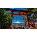 富士山 鳥居 ウォールステッカー 日本製 壁紙 森林 木 神社 植物 緑 旅行 写真 ポスター シール アート