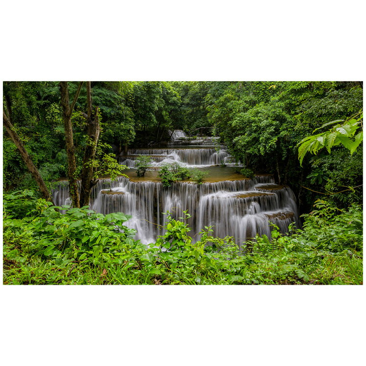 ウォールステッカー 滝 日本製 MU3 木々 森 林 自然 旅行 写真 ポスター シール アート アクセント壁紙 インスタ