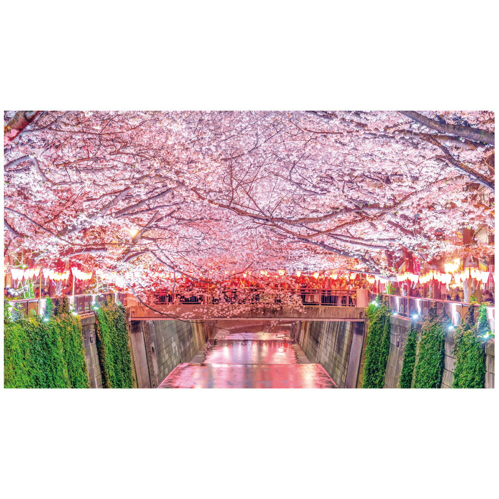 ウォールステッカー 桜 さくら サクラ 日本製 MU3 祭 東京 夜景 ポスター シール