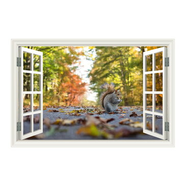 ウォールステッカー 窓枠 落ち葉 リス 紅葉(Mサイズ) WAKU 風景 景色 北欧 旅行 写真 シール お風呂 浴室 絵画 壁紙 ポスター おしゃれ リフォーム DIY トイレ インスタ 映え