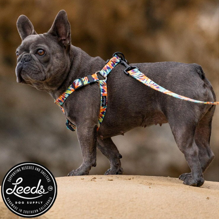 Leeds Dog Supply �꡼���ɥå����ץ饤 ASHBURY STEP IN HARNESS �ɥå��ϡ��ͥ� ���ѥϡ��ͥ� M������