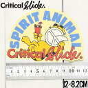 【送料無料】 【送料無料】Critical Slide クリティカルスライド TCSS ティーシーエスエス STICKER ステッカー The Critical...