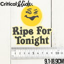 【送料無料】 【送料無料】Critical Slide クリティカルスライド TCSS ティーシーエスエス STICKER ステッカー The Critical Slide Society STICKV9 #8