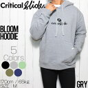 【送料無料】 TCSS ティーシーエスエス クリティカルスライド BLOOM HOODIE プルオーバーパーカー FC2141 FB