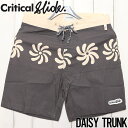 ボードショーツ サーフパンツ Critical Slide クリティカルスライド TCSS ティーシーエスエス DAISY TRUNK BS2220