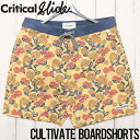 ボードショーツ サーフパンツ Critical Slide クリティカルスライド TCSS ティーシーエスエス CULTIVATE BOARDSHORTS BS2314