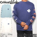 【クリアランスセール】 ロングスリーブTEE ロンT Critical Slide クリティカルスライド TCSS ティーシーエスエス DIAMOND L/S ...