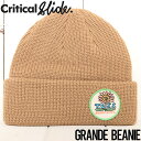 【送料無料】 ニットキャップ カフビーニー Critical Slide クリティカルスライド TCSS ティーシーエスエス GRANDE BEANIE HW2...