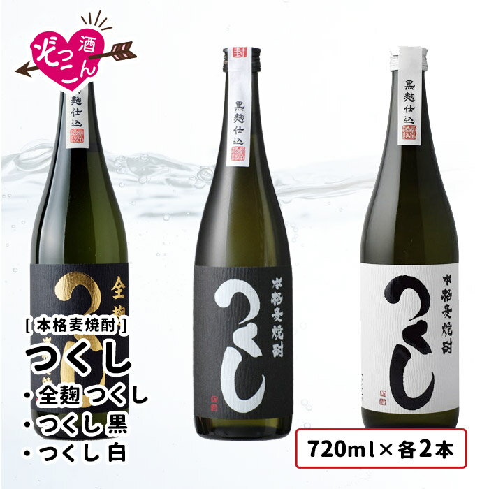  焼酎 麦焼酎 飲み比べセット 720ml×6本 ギフト セット お酒 お湯割り 水割り ソーダ割 焼酎ハイボール ロック プレゼント 贈り物 贈答 福岡 まとめ買い SAKE 麦焼酎 つくし 全麹 つくし 白 つくし 黒 720ml 各2本 飲み比べ ぞっこんシリーズ 6本セット