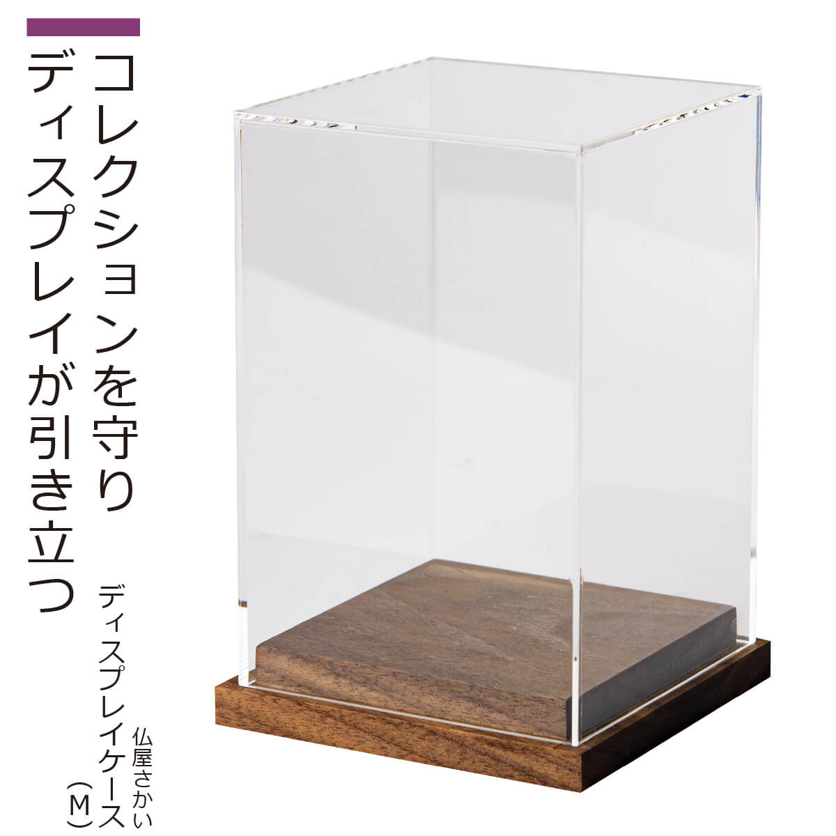 【即納！メーカー直営・直送】 猫buddha『ディスプレイケース』（M）（仏屋さかい 猫buddha にゃんぶっ..