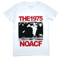 The 1975 / NOACF Tee 2 (White) - 1975 Tシャツ