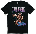 Ice Cube / Today Was a Good Day Tee (Black) - アイス キューブ Tシャツ