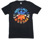 Red Hot Chili Peppers / Californication Tee 4 (Charcoal Grey) - レッド・ホット・チリ・ペッパーズ Tシャツ