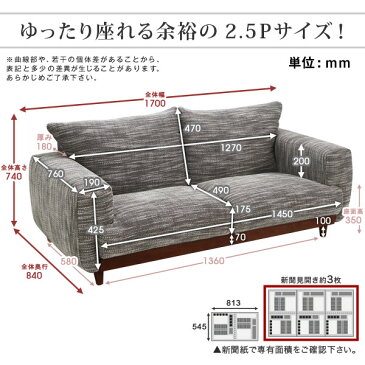 ソファー 2人掛け ソファ 2.5人掛け 2.5P リビングソファー sofa リビング 新生活 テレワーク 在宅勤務